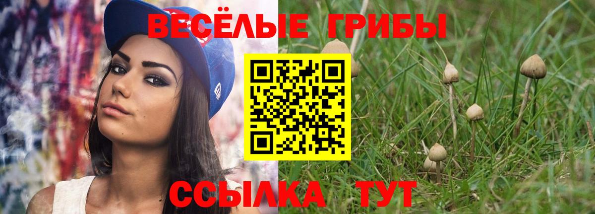 Псилоцибиновые грибы Cubensis  Вход с VPN  где купить наркоту  Симферополь 