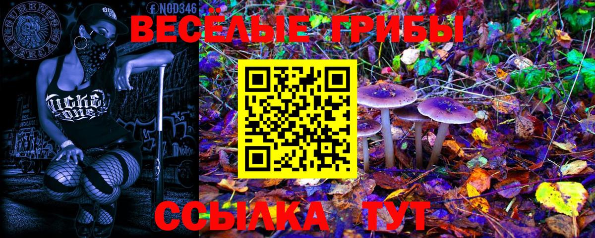 Галлюциногенные грибы Psilocybe Симферополь